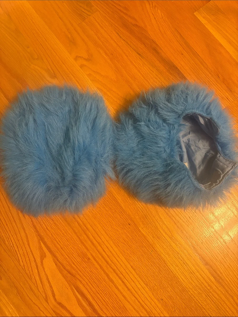 Dr. Seuss Blue Fuzzy Wigs (2)